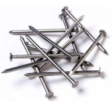 Verzinktes Eisen Common Wire Nail